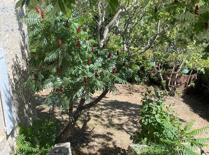 Le Caminol Semesterbostad *